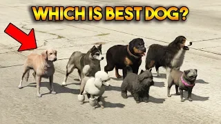 GTA 5 ONLINE : WHICH IS BEST DOG?