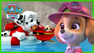 Mais de 1 hora de resgates de Skye e Marshall - Patrulha Pata PAW Patrol Episódio Português