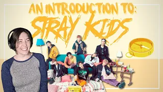 Reaction to "an introduction to: stray kids (2020 edition)"