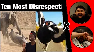 Top 10 Animals with Black Air Force Energy - @mndiaye_97 | RENEGADES REACT