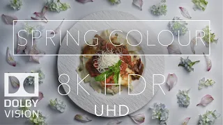 Best 8k HDR UHD Dolby Vision | 'Spring Colour'