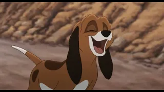 Hero | Fox and The Hound