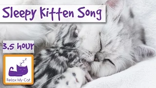 Sleepy Kitten Song! Calm Down Your Hyper Kitten with Relaxing Sleep Music for Kittens! Over 3 Hours!