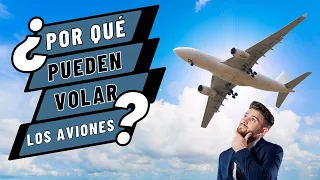 ¿Por qué pueden volar los aviones?