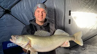 Lake Winnipeg Master Greenback (Lipless Cranks) ￼