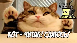 Total War Cat разоблачён!!111