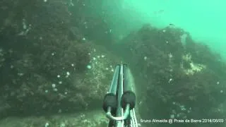 Bruno Almeida - Pescaria de Agosto, na Praia da Barra