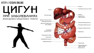 Цигун Йога Практика. Цигун при заболеваниях желудочно кишечного тракта.