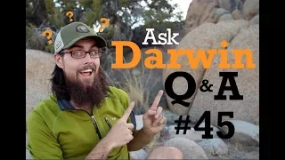 Ask Darwin Q&A #45 (Answers)