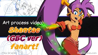 Shantae GBC timelapse