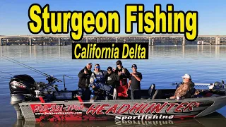 Sturgeon Fishing California Delta Style