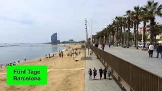 Fünf Tage in BARCELONA 🇪🇸 — von Gaudí, Tapas und Touristen … ☀️