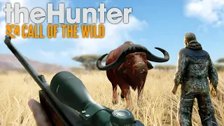 MEU AMIGO FOI ATACADO POR UM BÚFALO NA SAVANA! - The Hunter Call Of The Wild
