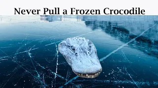 Never Pull a Frozen Crocodile From Ice | Tamil |