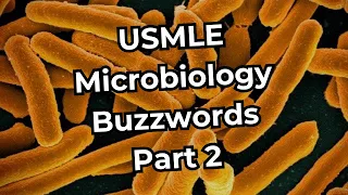 USMLE Step 1 Microbiology Buzzwords (Part 2)