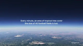 Our Forests   Timelapse in Google Earth || THINK ABOUT IT || PART 2