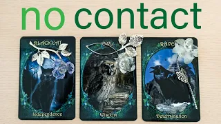 NO CONTACT!  THEIR FEELINGS, THOUGHTS, ACTIONS!  PICK A CARD TIMELESS TAROT READING