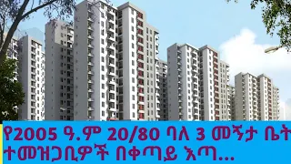 የ2005 ባለ 3 መኝታ ቤት ጉዳይ