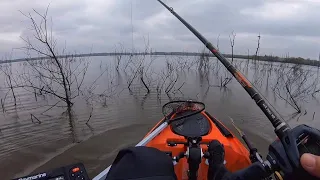 Fishing LAKE FORK for the first time (SHALLOW BRUSH bite)