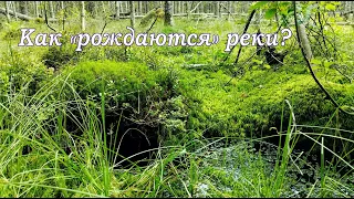 Как "рождаются" реки? Исток малой реки [Географическое краеведение]