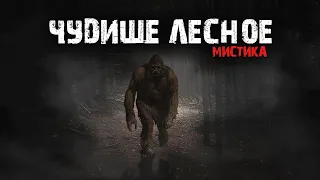 Мистические истории из жизни - Чудище лесное.