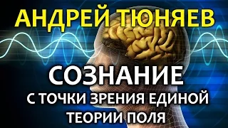 Андрей Тюняев. Сознание с точки зрения единой теории поля