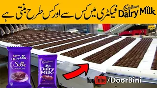Cadbury dairy Milk Factory Making In Urdu & Hindi | Door Bini 2021