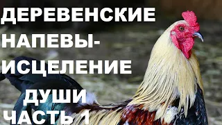 ПЕНИЕ ПЕТУХОВ И ДУШЕВНАЯ АТМОСФЕРА ДЕРЕВНИ ИСЦЕЛИТ ТЕЛО И  ДУШУ , И ВЕРНЁТ РАДОСТЬ БЫТИЯ.ЧАСТЬ № 1