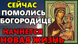 СЕГОДНЯ СКАЖИ СЕЙЧАС БОГОРОДИЦА ЖДЕТ ОТ ТЕБЯ ЭТУ МОЛИТВУ! Сильная Молитва Богородице! Православие