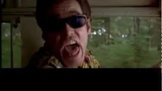 Ace Ventura - Wie Profis einparken