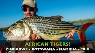 CATCHING BIG TIGERFISH IN THE ZAMBEZI RIVER IN AFRICA