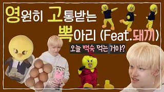 [스키즈] 영원히 고통받는 뽁아리🐥 (feat.🐷돼끼🐰)