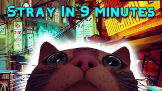 Stray in 9 Minutes 10 Seconds