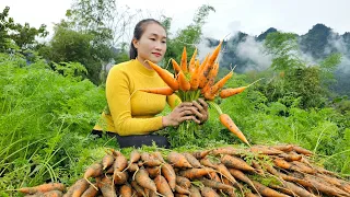 Harvesting carrots goes to market sell - Build life farm - Live with nature | Ly Thi Tam