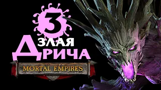 Дрича - злые духи лесных эльфов - прохождение Total War Warhammer 2 Империи Смертных - #3