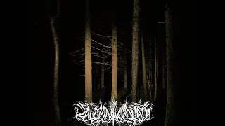 ▶︎  Kalmankantaja - Ruumiinvaellus (single)