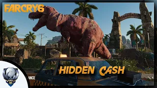 Far Cry 6 Guide | Hidden Cash Trophy