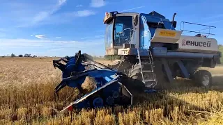 Енисей 950 Орловской сборки с двигателем ЯМЗ-236 убирает озимую пшеницу