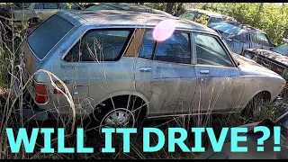 Will it DRIVE after being ABANDONED in a SALVAGE YARD?! 1977 Datsun 710!