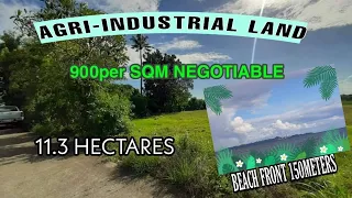 #16A-162            AGRI-INDUSTRIAL LAND 900 per sqm @LUCENA CITY QUEZON