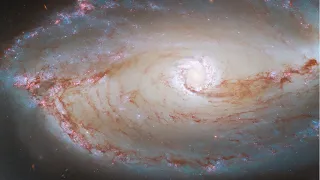 Eye of the Galaxy: New insight into the distant Universe