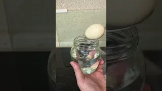 Как быстро почистить яйцо