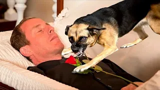 Dog Say Goodbye To Its Owner At The Funeral. But Then Something Incredible Happened...