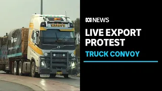 Truck convoy converges on Perth to protest end of live exports | ABC News