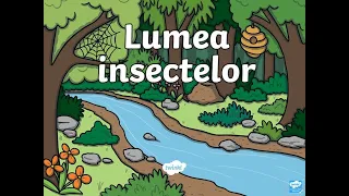 Lumea insectelor- material Twinkl