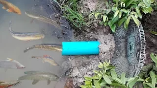 Best Fish Trap!! Creative Boy Make Fish Trap Using PVC Pipe With Fan Guard To Catch A Lot Of Fish