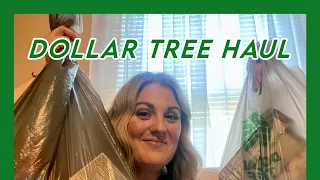 Dollar Tree Haul #dollartreehaul #dollartree #dollarstorefinds #dollartreeshopping #haul #shopping