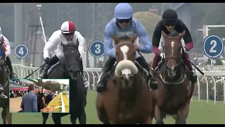 RAIN IN HOLLAND -  WILGERBOSDRIFT SA OAKS (Grade 2)