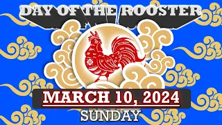 10 March 2024: Sunday, Day of the Rooster