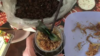 Орхидея реанимашка: стимулирующая посадка для наращивания корней.